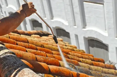 Nettoyage de toitures - Lison